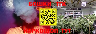 ешки Дубна