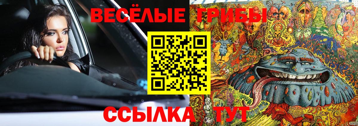 Кызыл  Псилоцибиновые грибы ЛСД  Вход с VPN 